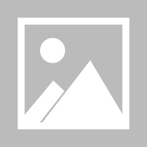 yabo-德媒：一名拜仁员工遭慕尼黑1860极端球迷袭击，疑因携带对立横幅